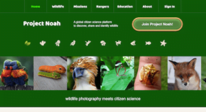 Project Noah